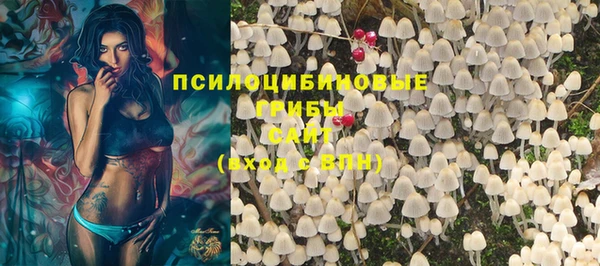 прущие крисы Медвежьегорск