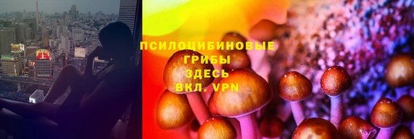 прущие крисы Медвежьегорск