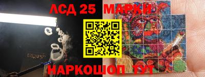 спиды Бийск