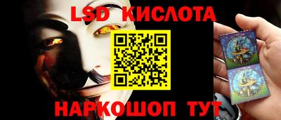 гидропоника Гусев