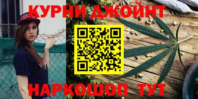 гидропоника Гусев