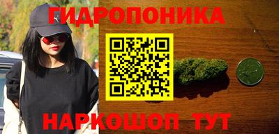 гидропоника Гусев