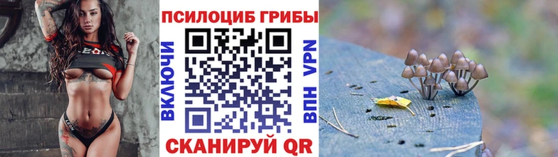 Псилоцибиновые грибы прущие грибы  Звенигород 